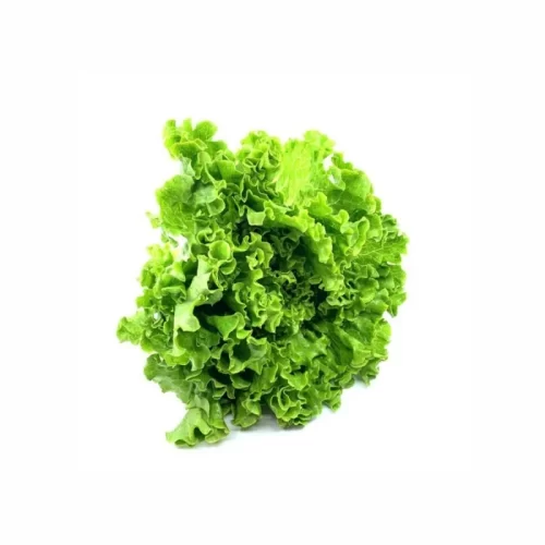 Kristal salad 1 piece